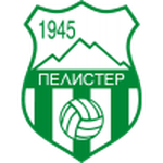پلیستر